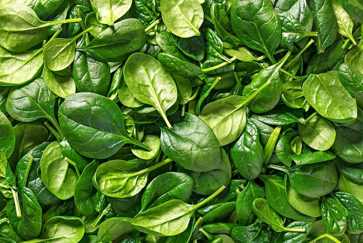 Spinach background full image. Top view