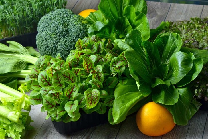 Broccoli, Cos Lettuce and Baby Spinach Leaves in arrangement.